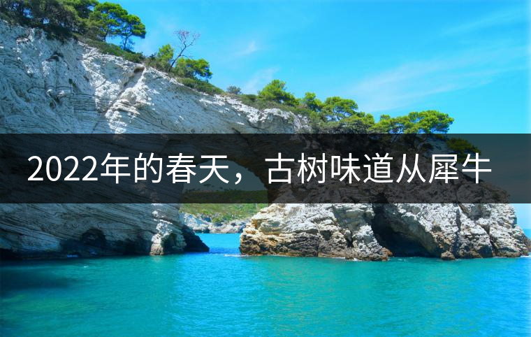 2022年的春天，古樹味道從犀牛塘開始！