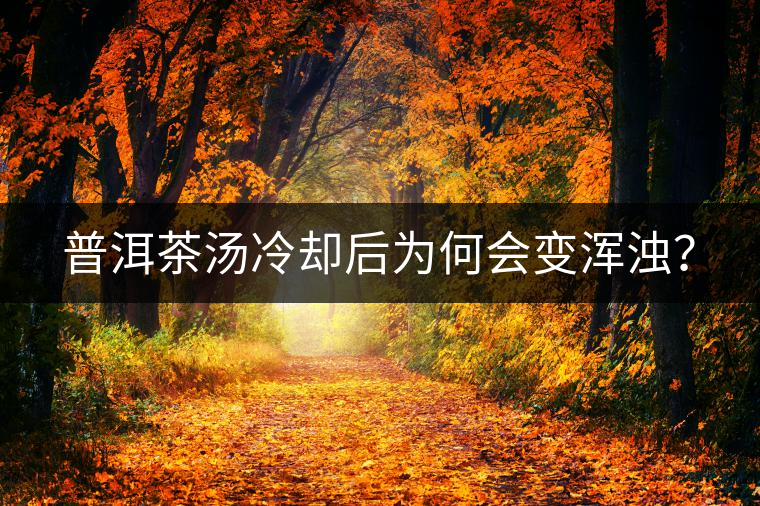 普洱茶湯冷卻后為何會(huì)變渾濁？