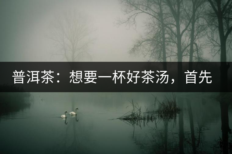 普洱茶：想要一杯好茶湯，首先要會醒茶