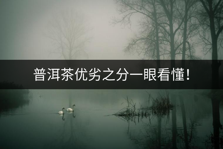 普洱茶優(yōu)劣之分一眼看懂！