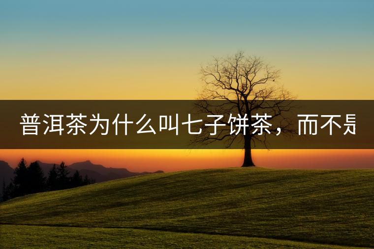 普洱茶為什么叫七子餅茶，而不是六子餅、八子餅......？