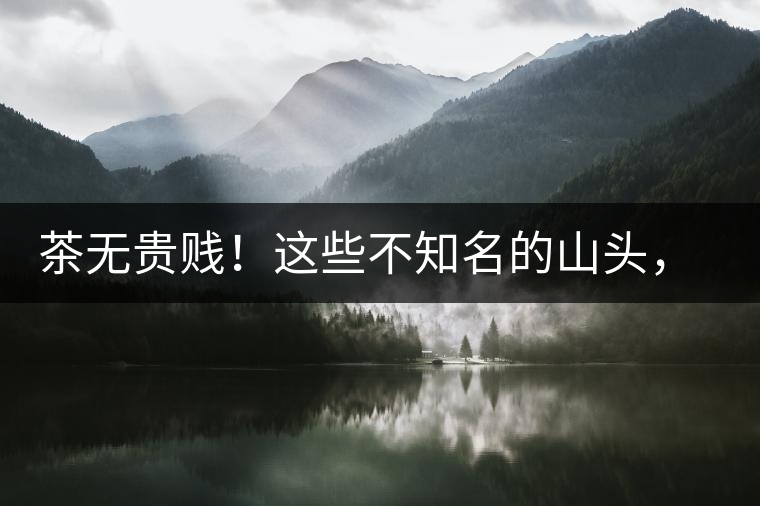 茶無貴賤！這些不知名的山頭，其實(shí)也產(chǎn)優(yōu)質(zhì)普洱茶！