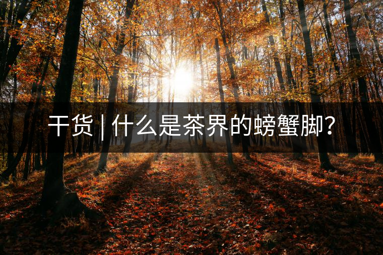 干貨 | 什么是茶界的螃蟹腳？