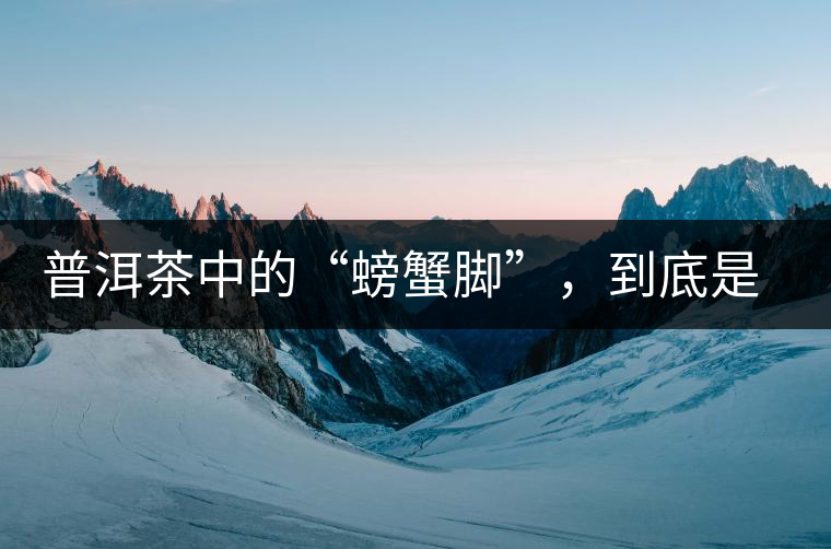 普洱茶中的“螃蟹腳”，到底是什么？如何辨別？