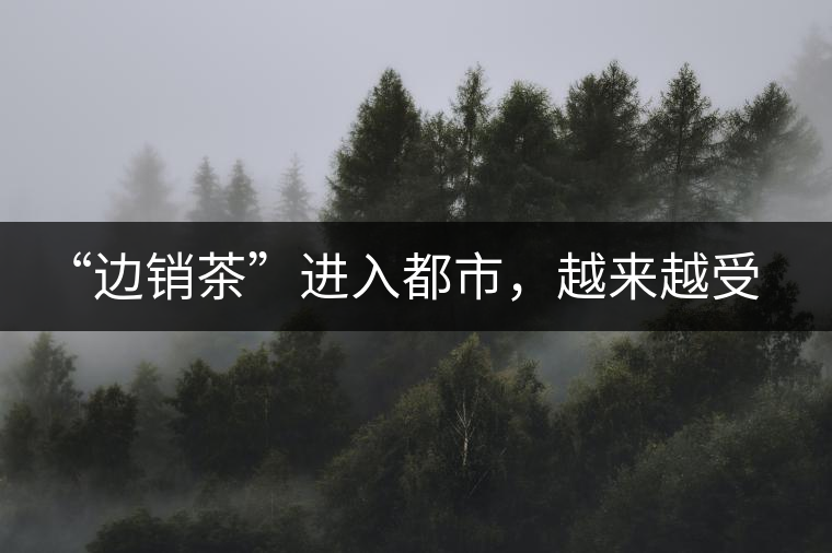 “邊銷茶”進(jìn)入都市，越來越受人們青睞