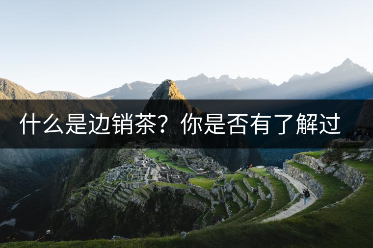 什么是邊銷茶？你是否有了解過邊銷茶呢？