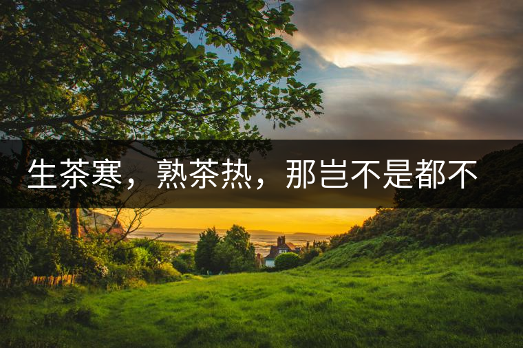 生茶寒，熟茶熱，那豈不是都不能喝了？丨實(shí)用