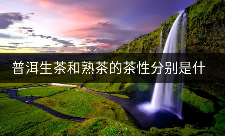 普洱生茶和熟茶的茶性分別是什么？涼性還是熱性？