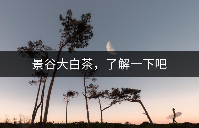 景谷大白茶，了解一下吧