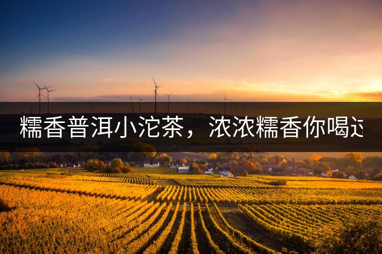 糯香普洱小沱茶，濃濃糯香你喝過嗎？