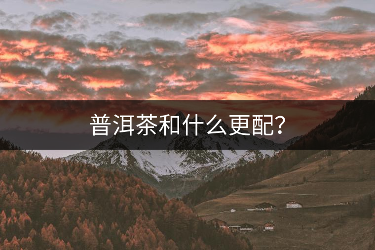 普洱茶和什么更配？