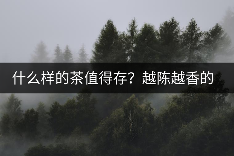 什么樣的茶值得存？越陳越香的本質(zhì)是什么？