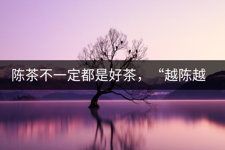 陳茶不一定都是好茶，“越陳越香”也要看茶種類！