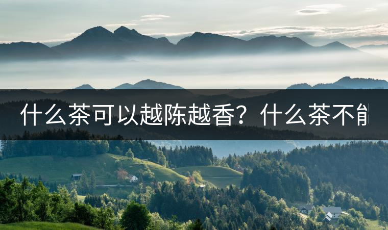 什么茶可以越陳越香？什么茶不能？