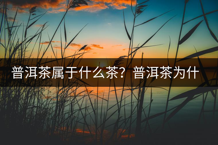 普洱茶屬于什么茶？普洱茶為什么會(huì)越陳越香？