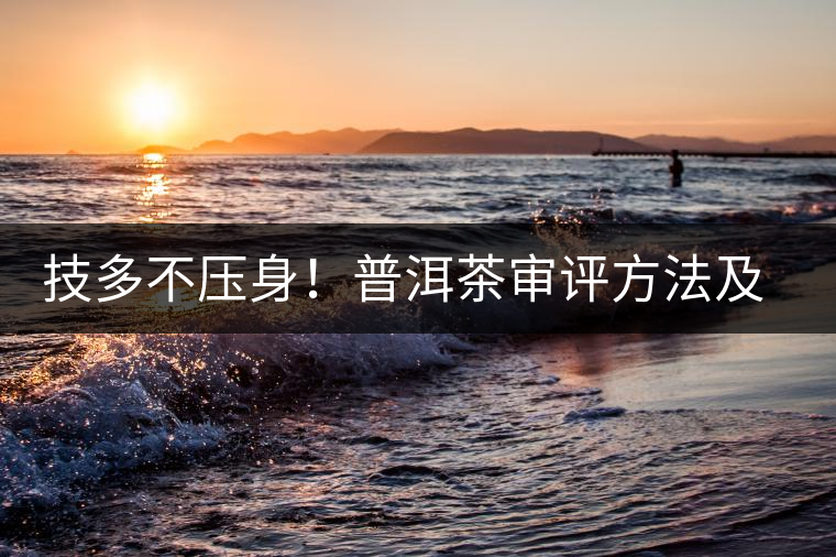 技多不壓身！普洱茶審評(píng)方法及專業(yè)術(shù)語(yǔ)大全（下）