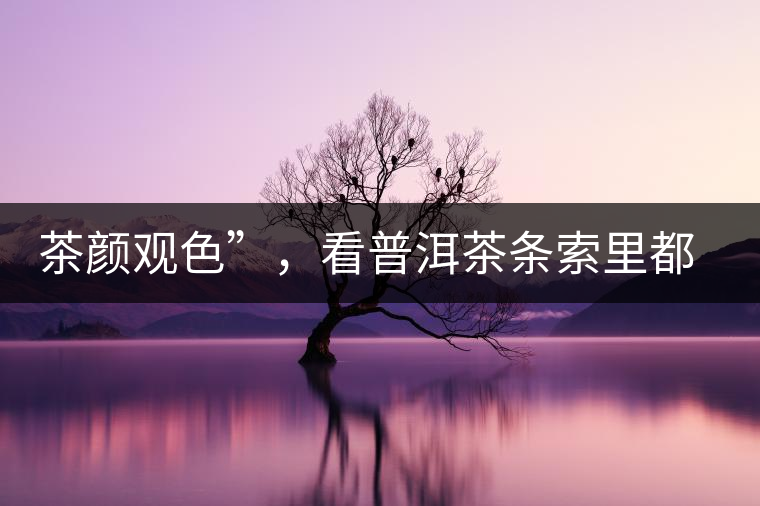 茶顏觀色”，看普洱茶條索里都蘊(yùn)含著怎樣的“密碼”？