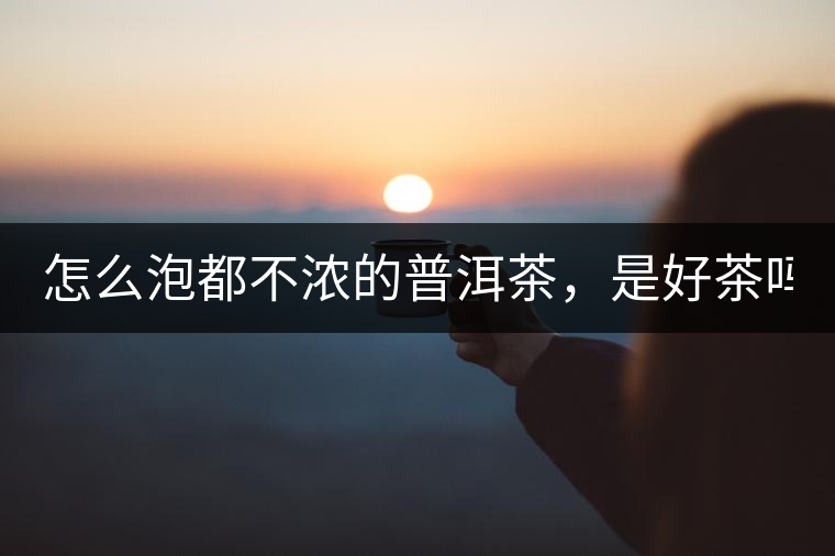 怎么泡都不濃的普洱茶，是好茶嗎？