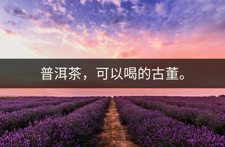 普洱茶，可以喝的古董。