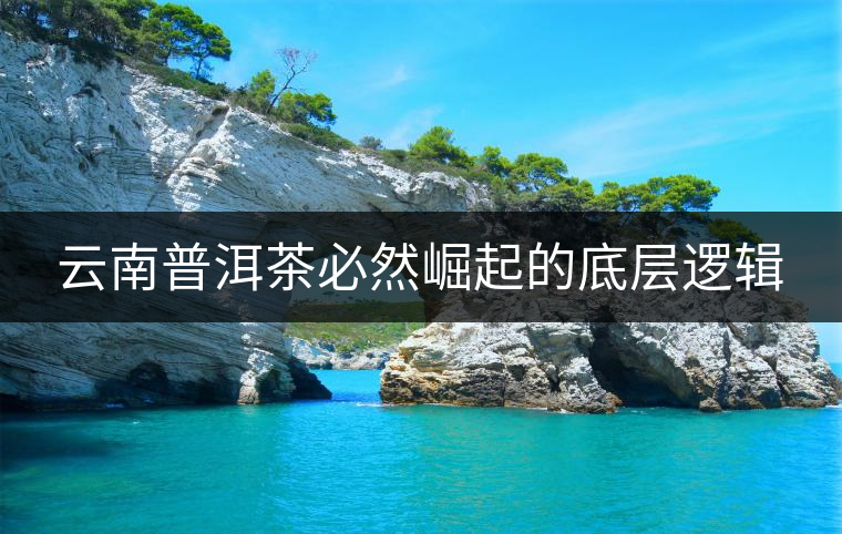 云南普洱茶必然崛起的底層邏輯 云南普洱茶必然崛起的底層邏輯