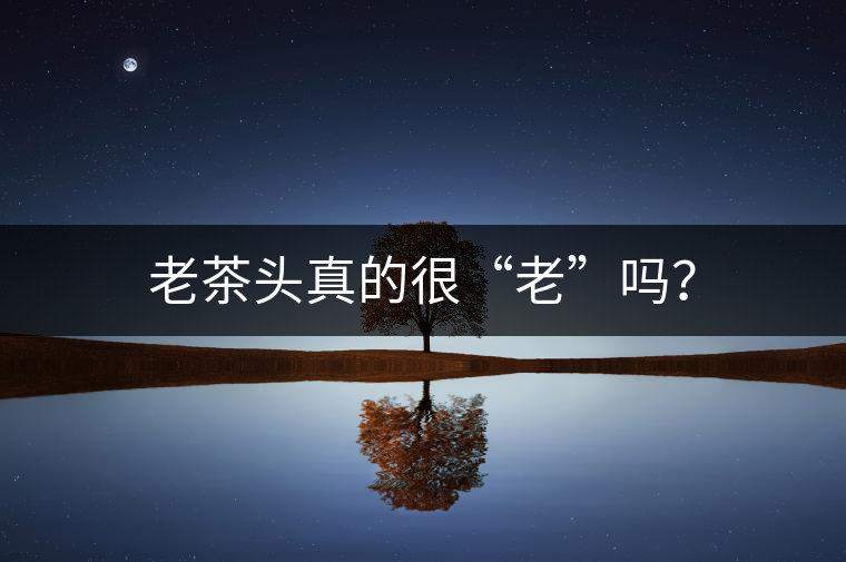 老茶頭真的很“老”嗎？