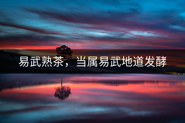 易武熟茶，當(dāng)屬易武地道發(fā)酵