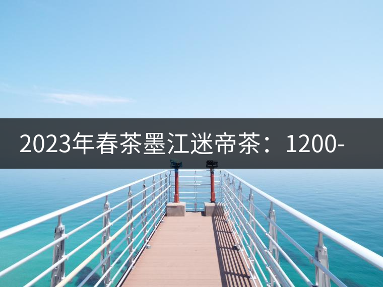 2023年春茶墨江迷帝茶：1200-2500元／公斤