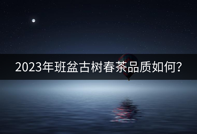 2023年班盆古樹春茶品質(zhì)如何？