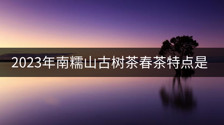 2023年南糯山古樹茶春茶特點(diǎn)是什么？