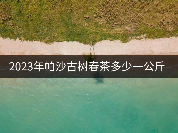 2023年帕沙古樹春茶多少一公斤？