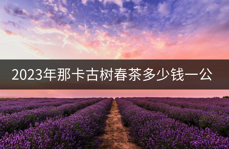 2023年那卡古樹春茶多少錢一公斤？