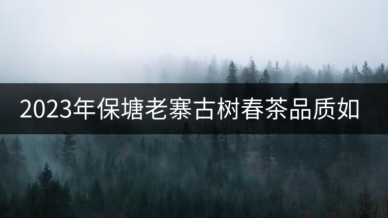 2023年保塘老寨古樹春茶品質(zhì)如何？