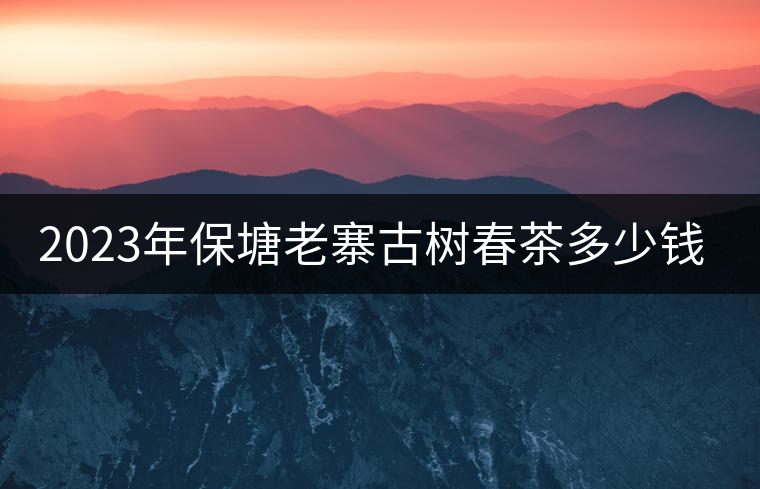 2023年保塘老寨古樹春茶多少錢一公斤？
