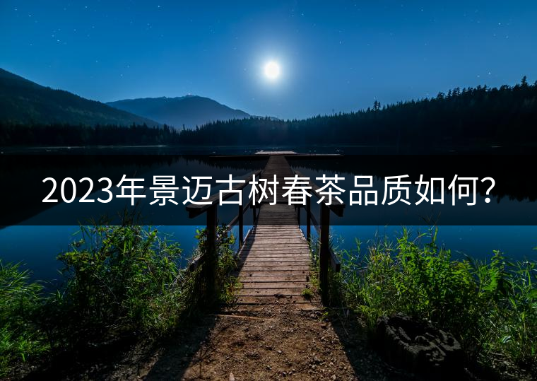 2023年景邁古樹(shù)春茶品質(zhì)如何？