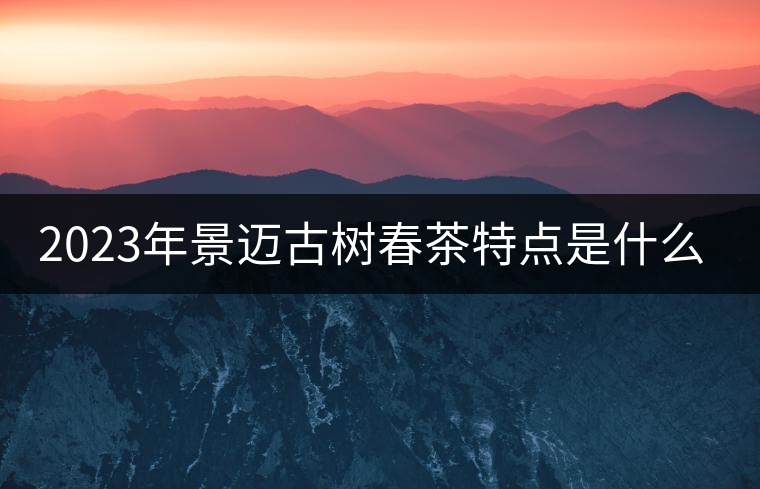 2023年景邁古樹春茶特點是什么？