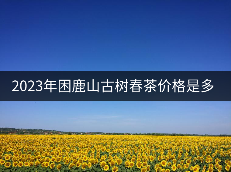 2023年困鹿山古樹春茶價格是多少？
