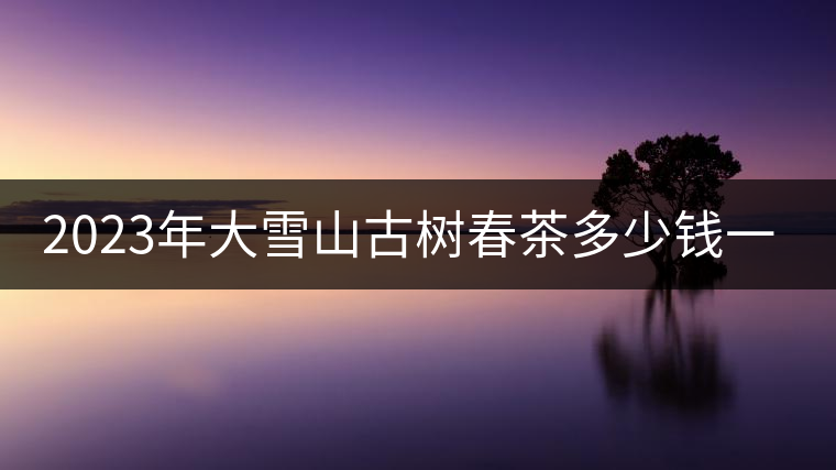 2023年大雪山古樹(shù)春茶多少錢一公斤？