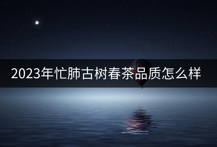 2023年忙肺古樹春茶品質(zhì)怎么樣？