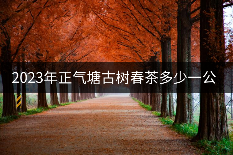 2023年正氣塘古樹春茶多少一公斤？