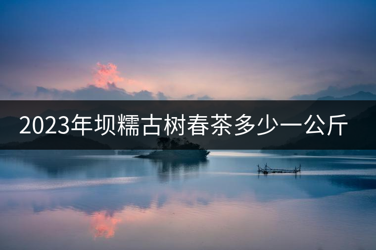 2023年壩糯古樹春茶多少一公斤？