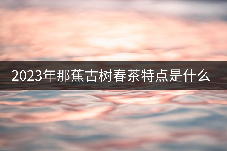 2023年那蕉古樹春茶特點(diǎn)是什么？