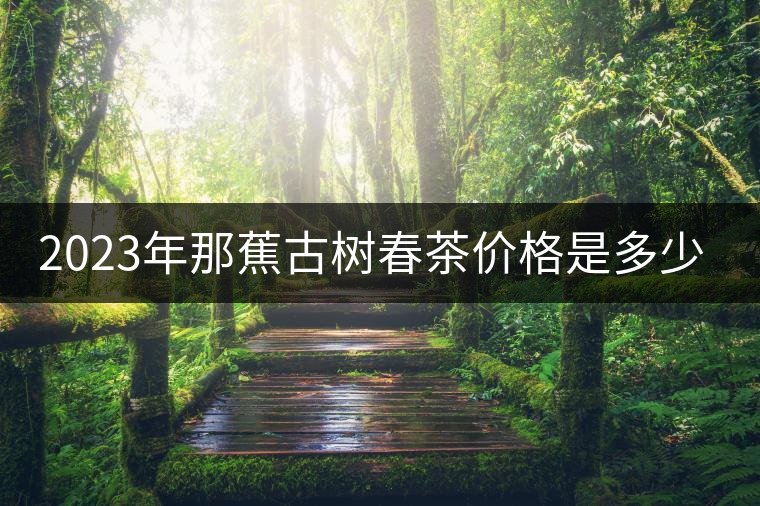 2023年那蕉古樹春茶價格是多少? 2023年那蕉古樹春茶價格是多少?
