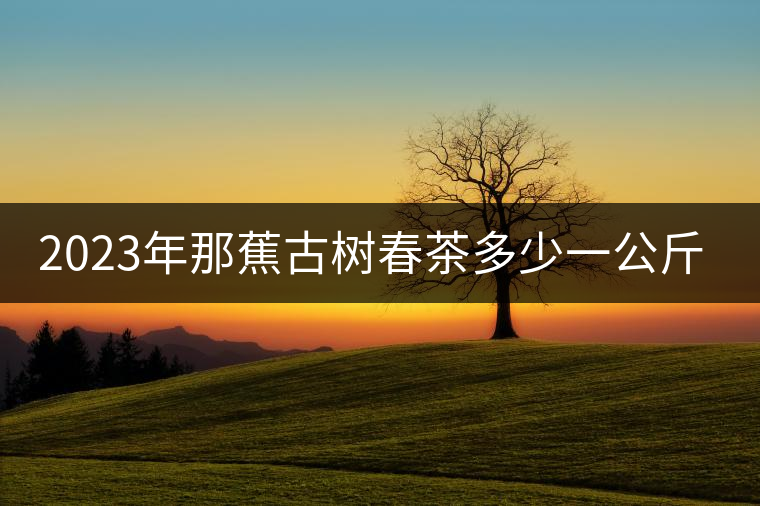 2023年那蕉古樹春茶多少一公斤？