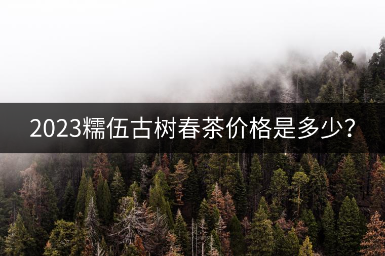 2023糯伍古樹春茶價(jià)格是多少？