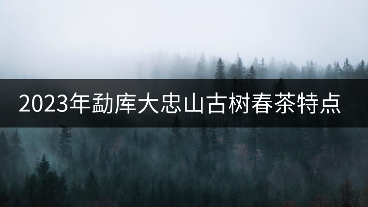 2023年勐庫大忠山古樹春茶特點(diǎn)? 2023年勐庫大忠山古樹春茶特點(diǎn)?