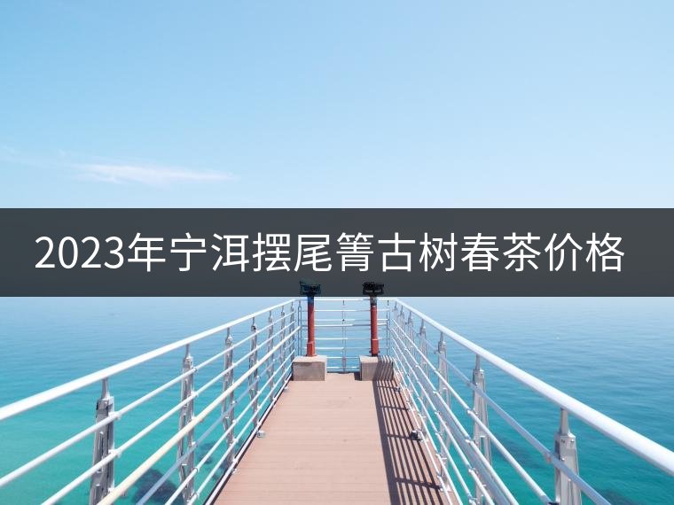2023年寧洱擺尾箐古樹春茶價(jià)格是多少？
