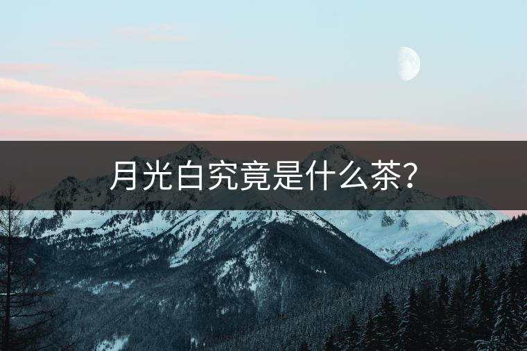 月光白究竟是什么茶？