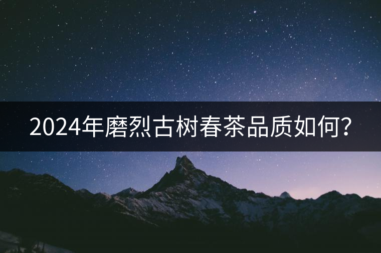 2024年磨烈古樹春茶品質(zhì)如何？