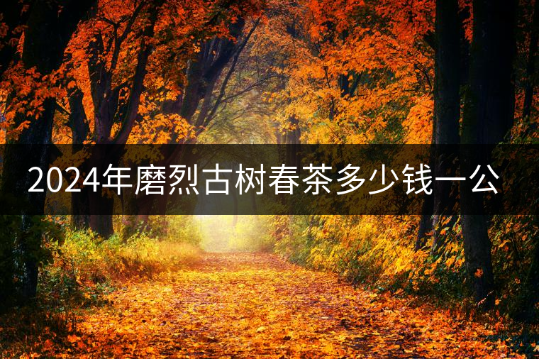 2024年磨烈古樹春茶多少錢一公斤？