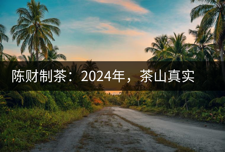 陳財制茶：2024年，茶山真實寫照，最慘的那波人